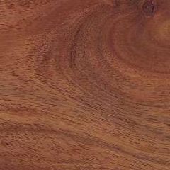 Acacia Wood – All You Need to Know about it