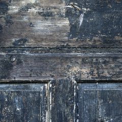 Steps: How to Kill Mold on Wood