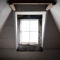 Mold In Attic: How To Get Rid Of It