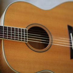 Best Wood For Guitar – Factors to Consider Before Buying a Guitar